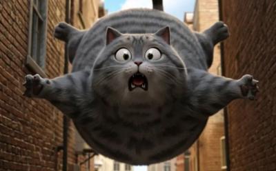 Cat Biggie