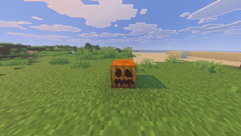 Carved Pumpkin Minecraft