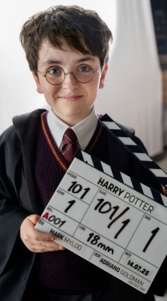Dominic McLaughlin as Harry Potter