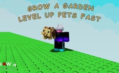 Grow a Garden level up pets fast age