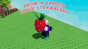 How to Get Elder Strawberry in Grow a Garden