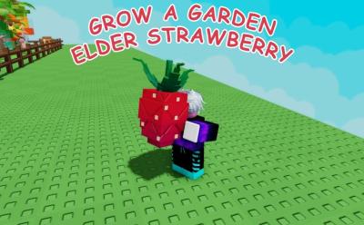 How to Get Elder Strawberry in Grow a Garden