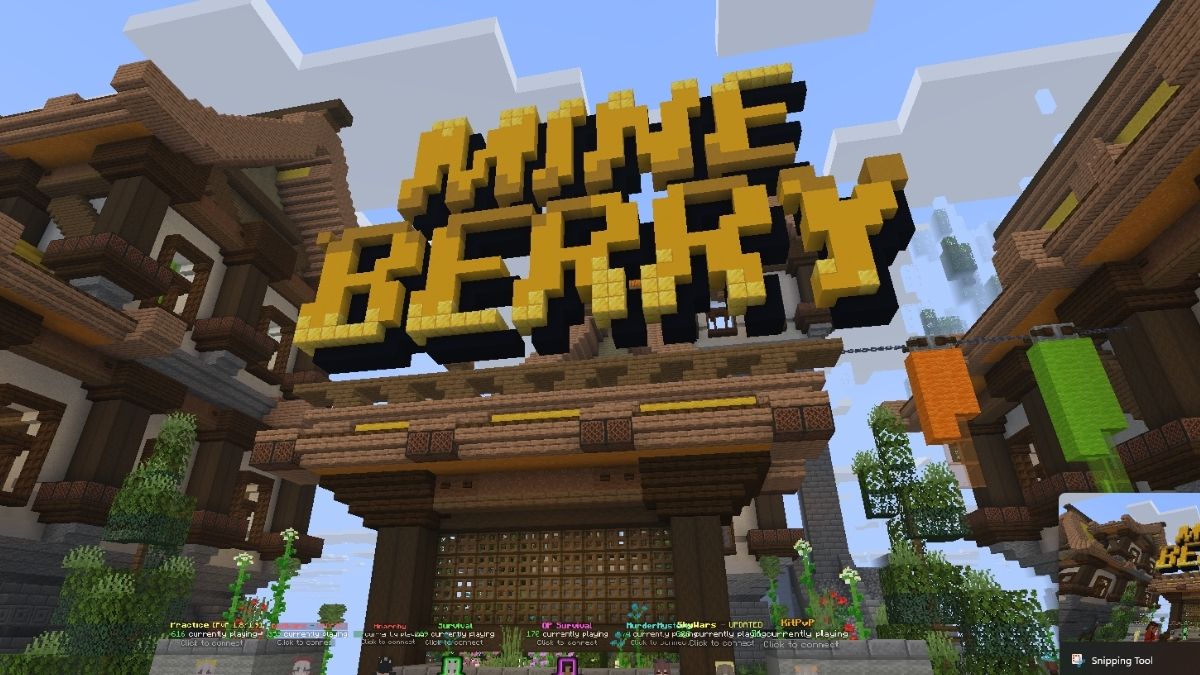 Mineberry Server in Minecraft