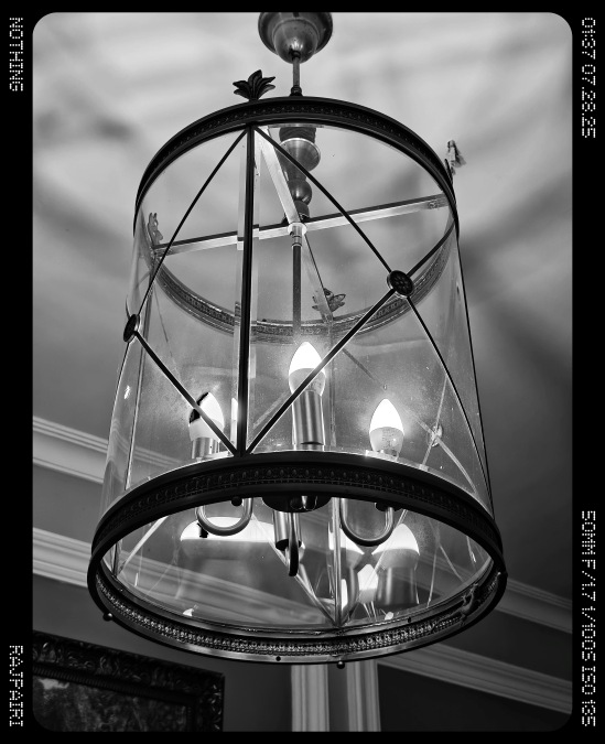 Nothing Phone (3) Main Camera monochrome Shot