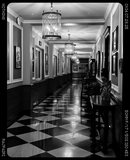 Nothing Phone (3) Main Camera monochrome Shot 3