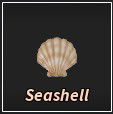 seashell