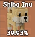 shiba inu
