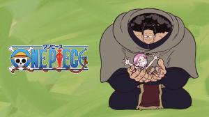 One Piece: Bonney Controlling the Pacifista Will Give Straw Hats an Upper Hand in the Final War
