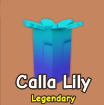 Calla Lily