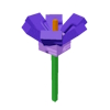 Crocus