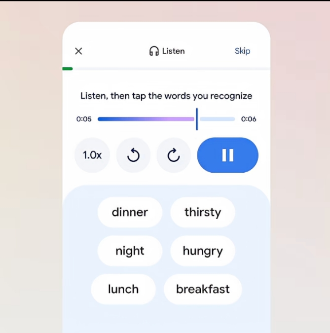 Google-Translate-language-Practice-tool-preview