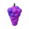 Grape
