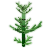 Horsetail