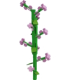 All Plant Types in Grow a Garden