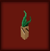 Mandrake