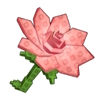 Pink Lily