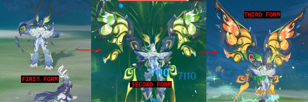 Radiant Moonfly three forms transformation