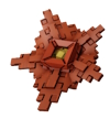 Rafflesia