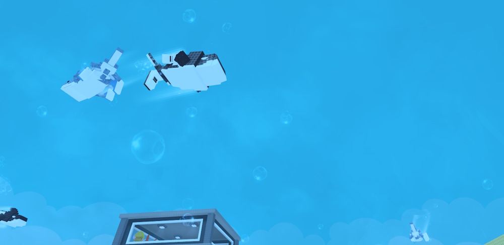 Sharks and Orcas event