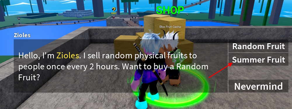 Summer Coins option in Blox Fruits gacha