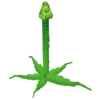Tall Asparagus