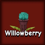 Willowberry