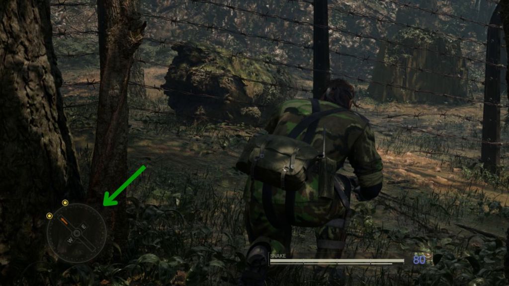 MGS Delta Compass On HUD