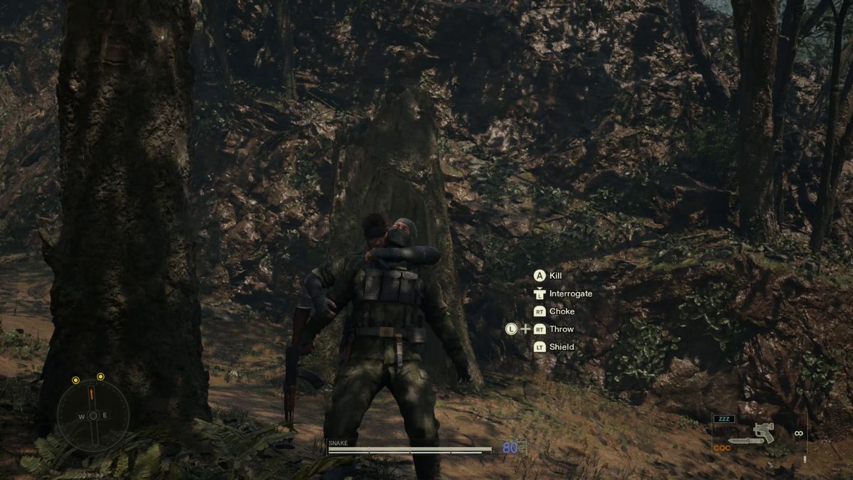 CQC Investigate in MGS Delta