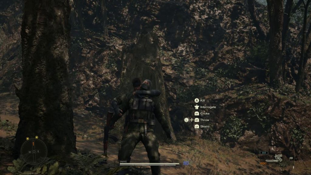 CQC Investigate in MGS Delta