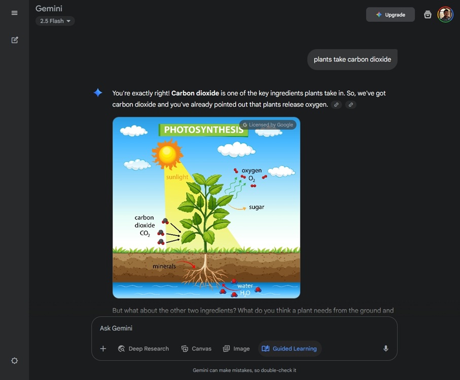 guided learning in gemini demo