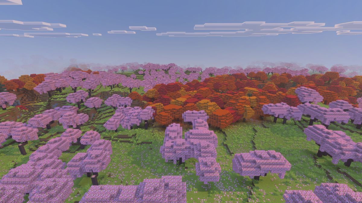 Cherry Grove Valley with Dappled Forest