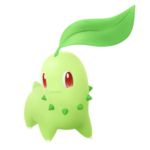 Chikorita