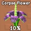 Corpse Flower