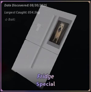 Fridge