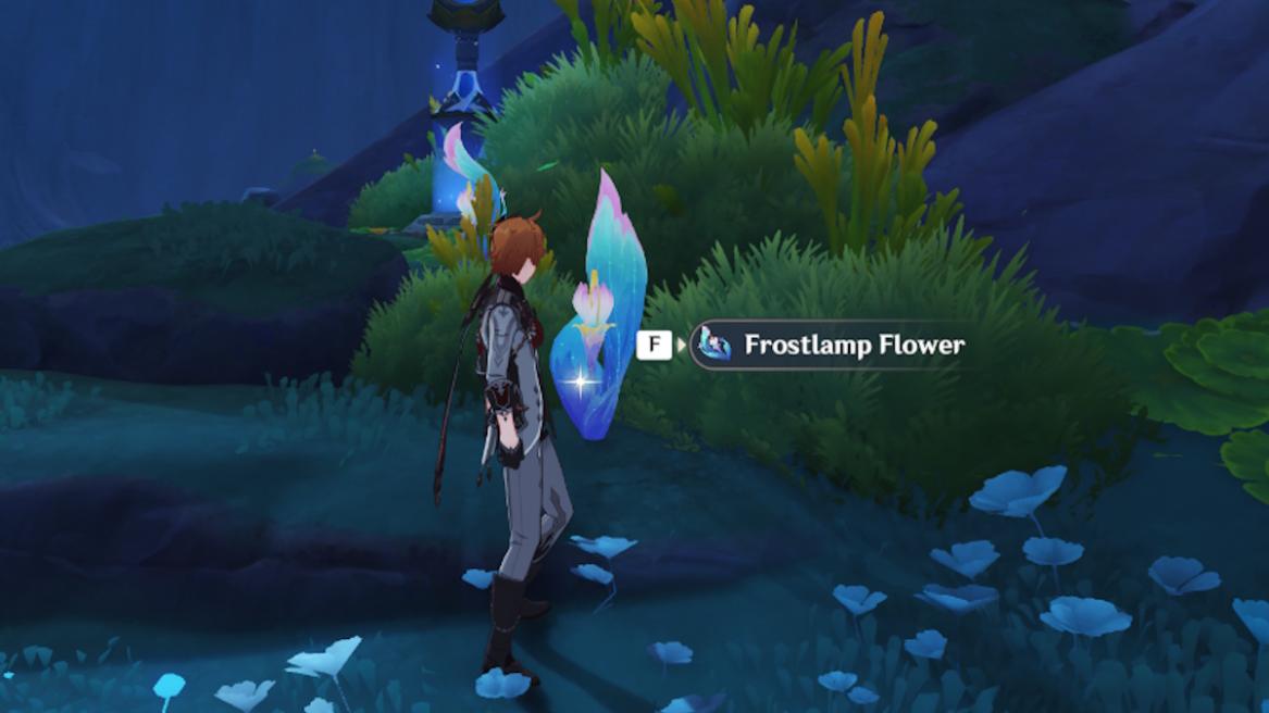 Frostlamp Flower locations in Genshin Impact