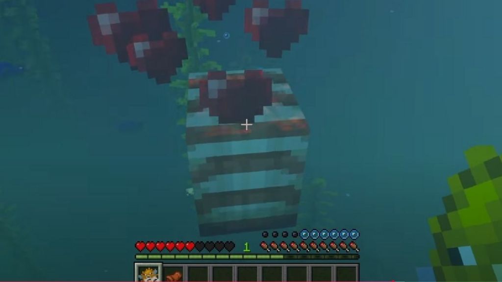 How to Tame a Nautilus in Minecraft