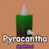 Pyracantha GAG