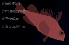 Sea Raven