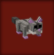 Sugar Glider
