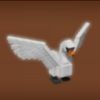 Swan