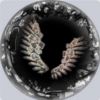 Wings of Genius