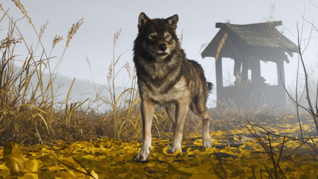 Wolf in Ghost of Yotei