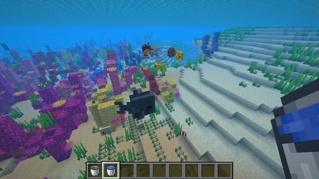 Axolotls eat Tropical Fish