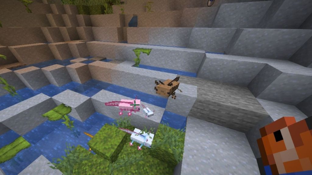 Breed Axolotls in Minecraft