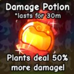 Damage Potion