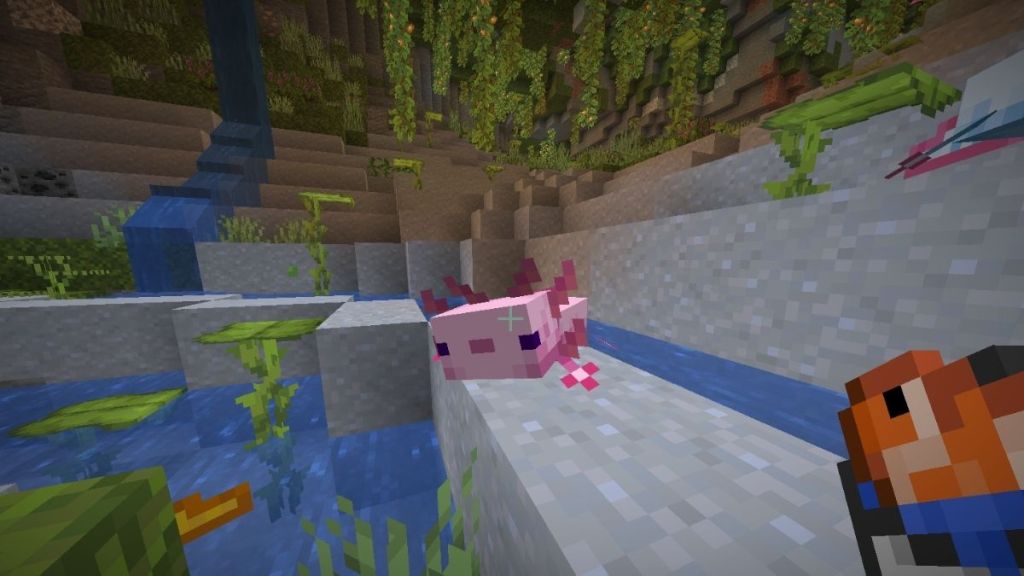 Feed Axolotls in Minecraft