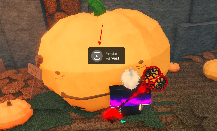 Harvest Fisch Pumpkin for king quest