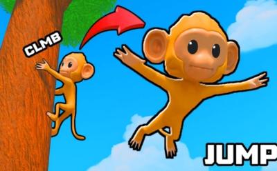 Monkey Climb codes
