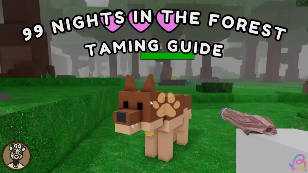 Taming Guide 99 Nights in the forest