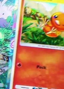 Torchic